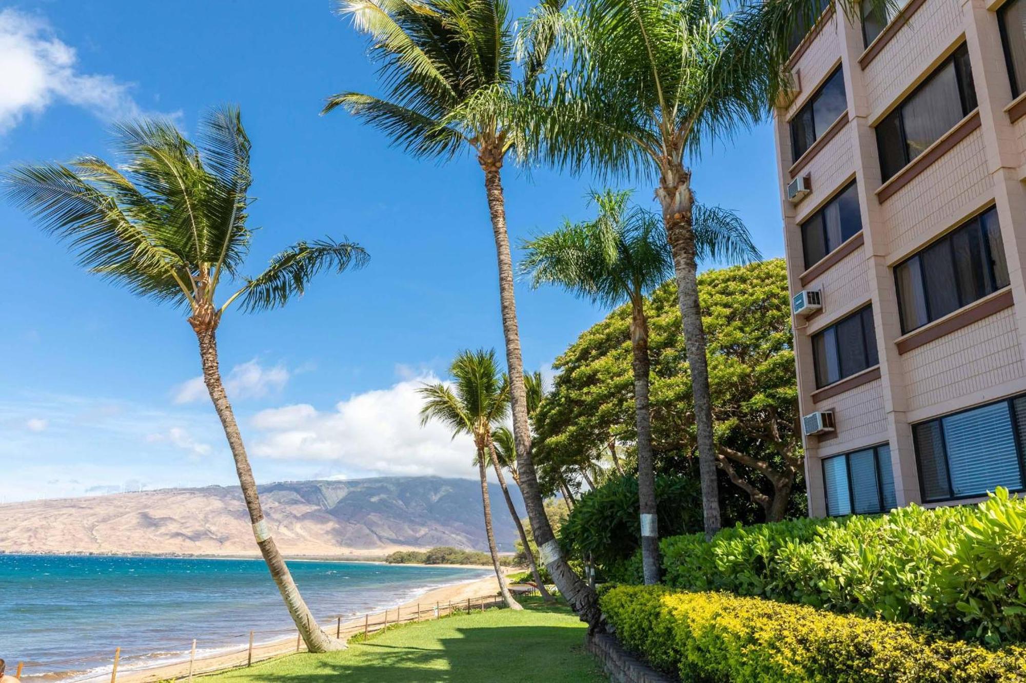 Kealia Resort 203 Kihei Exteriér fotografie